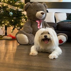 Meet your Posher, Nancy